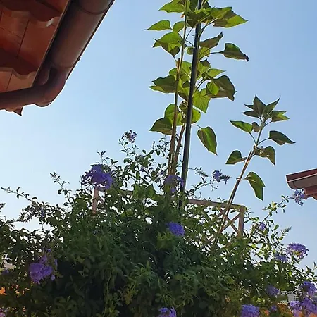 Aparthotel La Terrazza Di Castiglione Vacanza